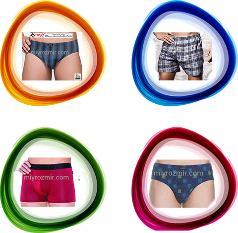 Які бувають види чоловічої нижньої білизни