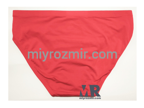 TASO 3633 модальні чоловічі труси бріфи з вузькою резинкою однотонні фото 11 TASO 3633 модальні чоловічі труси бріфи з вузькою резинкою однотонні фото 11