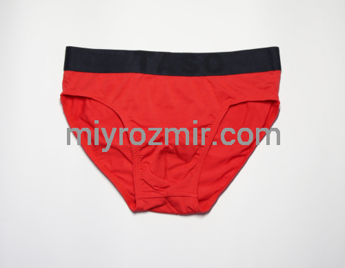 TASO 3566 Чоловічі бріфи, модал фото 14