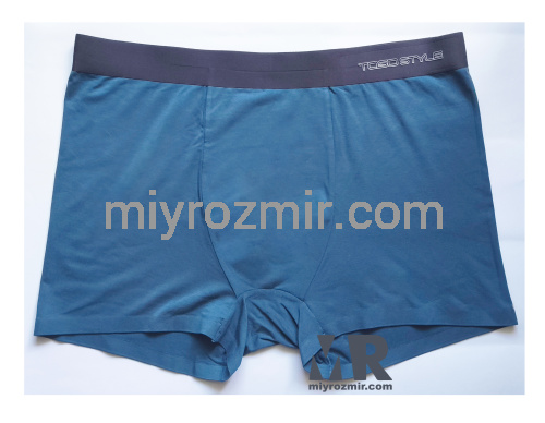 TASO 8002 однотонні чоловічі труси шорти з еластичною широкою резинкою TASO 8002 однотонні чоловічі труси шорти з еластичною широкою резинкою