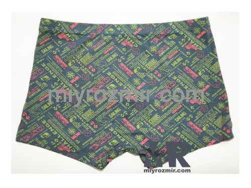 TASO 5784 бамбукова чоловіча білизна фото 6