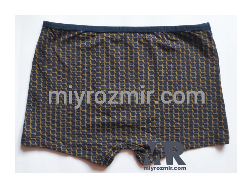 TASO 5795 бавовняно-бамбукові чоловічі труси шорти з вузькою резинкою та геометричним малюнком фото 8 TASO 5795 бавовняно-бамбукові чоловічі труси шорти з вузькою резинкою та геометричним малюнком фото 8