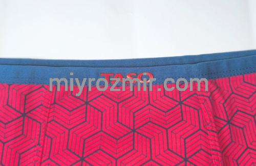 TASO 5781 Colour style бавовняні труси шорти з вузькою резинкою фото 11
