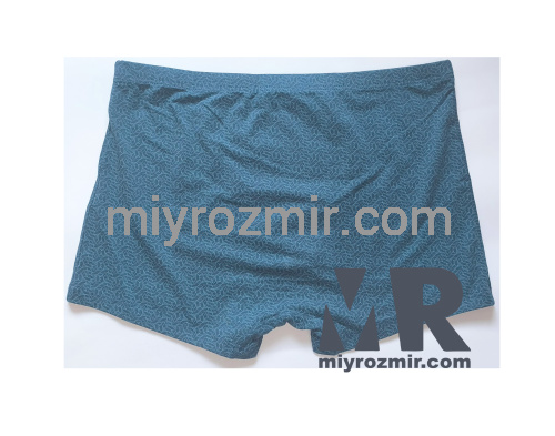 TASO 5811 Colour style чоловічі труси бамбук + бавовна фото 4 TASO 5811 Colour style чоловічі труси бамбук + бавовна фото 4