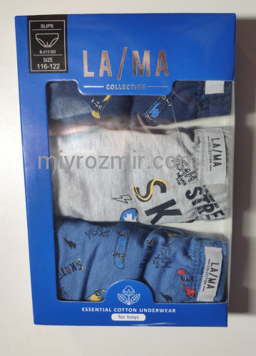 LAMA B-213 SD Дитячі труси 3шт в наборі на хлопчика фото 6