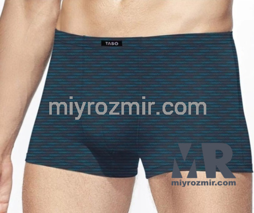 TASO 5808 чоловічі труси шорти бамбук фото 2 TASO 5808 чоловічі труси шорти бамбук фото 2