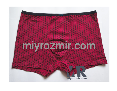 TASO 5795 бавовняно-бамбукові чоловічі труси шорти з вузькою резинкою та геометричним малюнком фото 3 TASO 5795 бавовняно-бамбукові чоловічі труси шорти з вузькою резинкою та геометричним малюнком фото 3