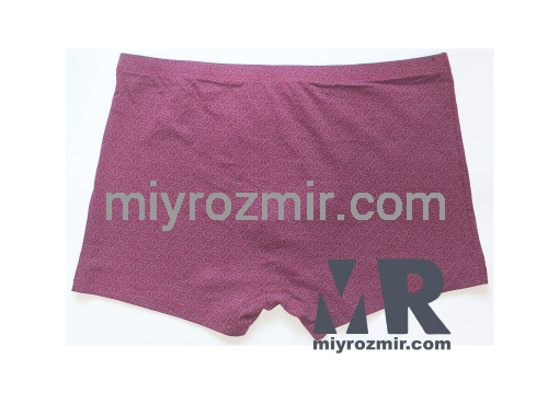 TASO 5811 Colour style чоловічі труси бамбук + бавовна фото 10 TASO 5811 Colour style чоловічі труси бамбук + бавовна фото 10