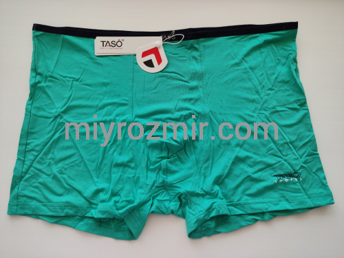 TASO DM 5556 COLOUR STYLE Однотонні труси шорти, модал, з вузькою резинкою фото 2