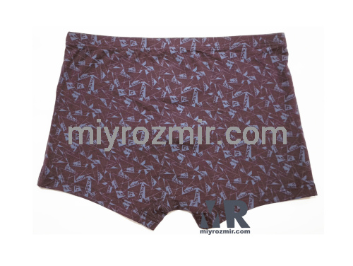 TASO 5794 бамбукові чоловічі труси шорти з геометричним малюнком фото 8 TASO 5794 бамбукові чоловічі труси шорти з геометричним малюнком фото 8