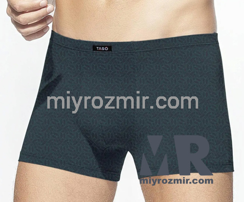 TASO 5811 Colour style чоловічі труси бамбук + бавовна фото 2 TASO 5811 Colour style чоловічі труси бамбук + бавовна фото 2
