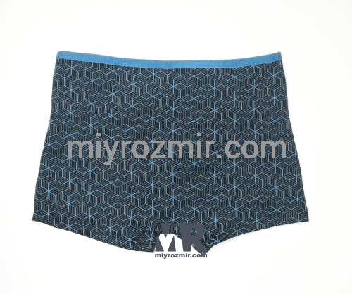 TASO 5781 Colour style бавовняні труси шорти з вузькою резинкою фото 16 TASO 5781 Colour style бавовняні труси шорти з вузькою резинкою фото 16