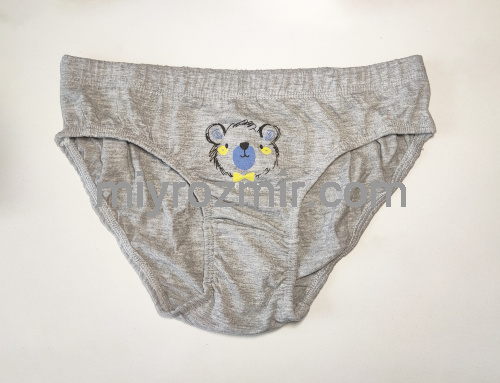 DOMIkids 72000-BAZ-01 набір 3шт кольорових бавовняних трусиків на хлопчика фото 3