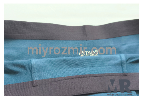 TASO 8002 однотонні чоловічі труси шорти з еластичною широкою резинкою фото 4 TASO 8002 однотонні чоловічі труси шорти з еластичною широкою резинкою фото 4