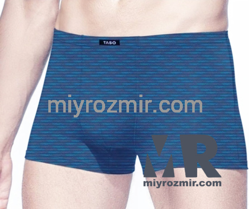 TASO 5808 чоловічі труси шорти бамбук фото 3 TASO 5808 чоловічі труси шорти бамбук фото 3