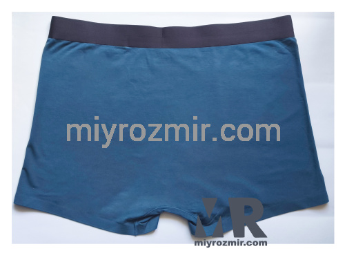 TASO 8002 однотонні чоловічі труси шорти з еластичною широкою резинкою фото 2 TASO 8002 однотонні чоловічі труси шорти з еластичною широкою резинкою фото 2