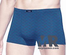 TASO 5808 чоловічі труси шорти бамбук