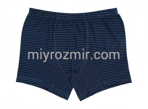 Donella 75762 Темні труси шортики з малюнком на хлопчика фото 3