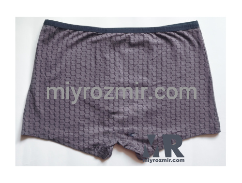 TASO 5795 бавовняно-бамбукові чоловічі труси шорти з вузькою резинкою та геометричним малюнком фото 6 TASO 5795 бавовняно-бамбукові чоловічі труси шорти з вузькою резинкою та геометричним малюнком фото 6