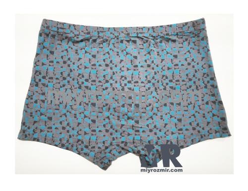 TASO 5818 чоловічі труси шорти тканина модал фото 8 TASO 5818 чоловічі труси шорти тканина модал фото 8