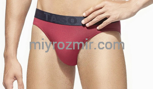 TASO 3566 Чоловічі бріфи, модал фото 4