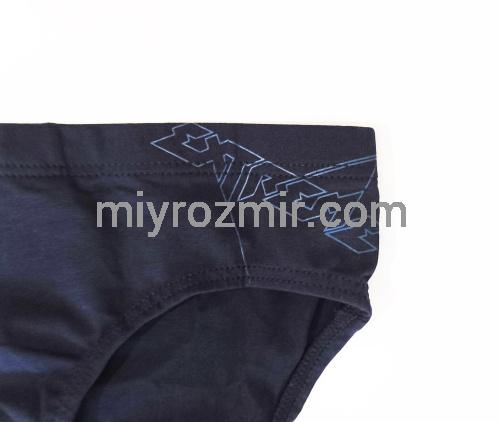 TASO 3632 Sport style чоловічі бавовняні труси бріфи фото 4