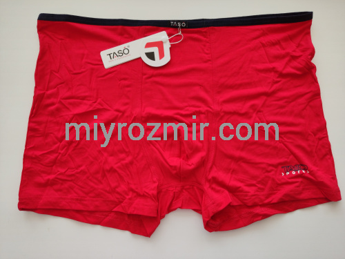 TASO DM 5556 COLOUR STYLE Однотонні труси шорти, модал, з вузькою резинкою фото 3