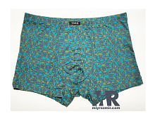 TASO 5818 чоловічі труси шорти тканина модал