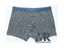 TASO 5813 чоловічі модальні труси з широкою вшитою резинкою