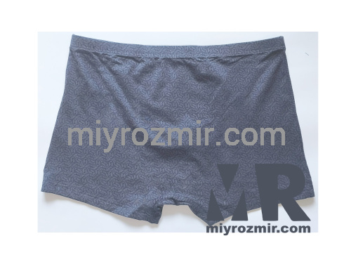 TASO 5811 Colour style чоловічі труси бамбук + бавовна фото 6 TASO 5811 Colour style чоловічі труси бамбук + бавовна фото 6