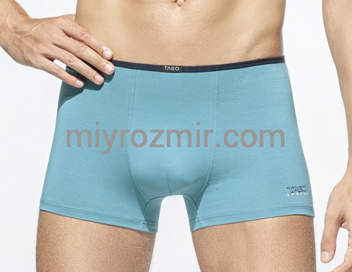 TASO DM 5556 COLOUR STYLE Однотонні труси шорти, модал, з вузькою резинкою фото 7