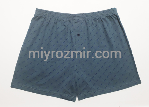 Bres by Ellen MBXK 307/01/79 темні чоловічі сімейні труси Bres by Ellen MBXK 307/01/79 темні чоловічі сімейні труси