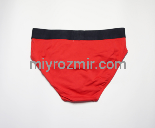 TASO 3566 Чоловічі бріфи, модал фото 15