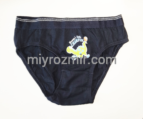 DOMIkids 72000-BAZ-01 набір 3шт кольорових бавовняних трусиків на хлопчика фото 5
