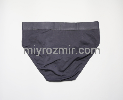 TASO 3566 Чоловічі бріфи, модал фото 9