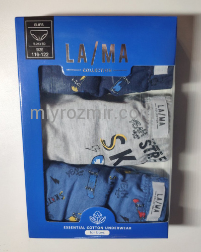 LAMA B-213 SD Дитячі труси 3шт в наборі на хлопчика фото 5